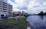 Roadside Canal