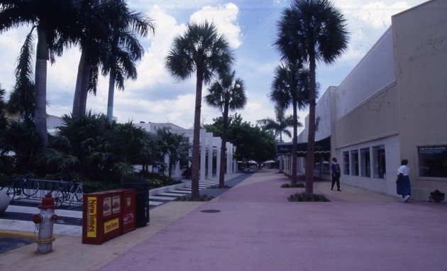 Palms on Lincoln Road