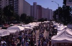 Festival of the Arts Mid-day