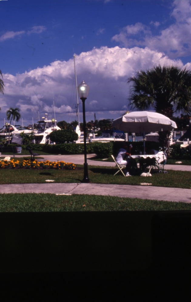 People sitting at a Marina