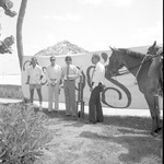 Police horses and Mounted Police Department officers