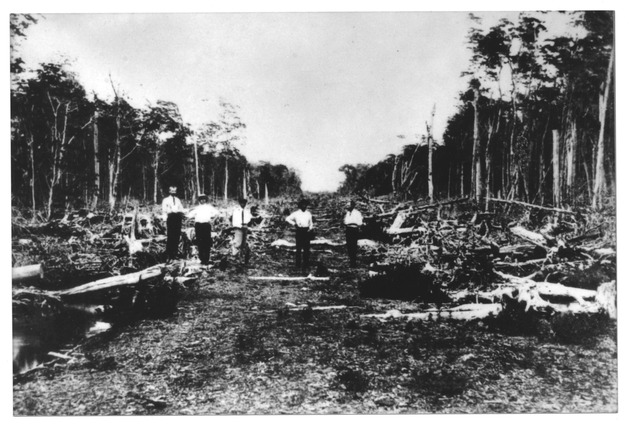 Men clearing land - Recto Photograph