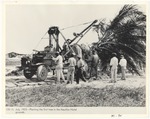 Men planting the first tree in the Nautilus Hotel grounds