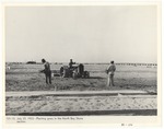 Men planting grass in the North Bay Shore section