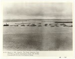 [1924-03-08] Flagler Memorial, Palm and Hibiscus Islands and Venetian Islands