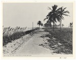 [1924-11-23] Ocean Drive, partially destroyed