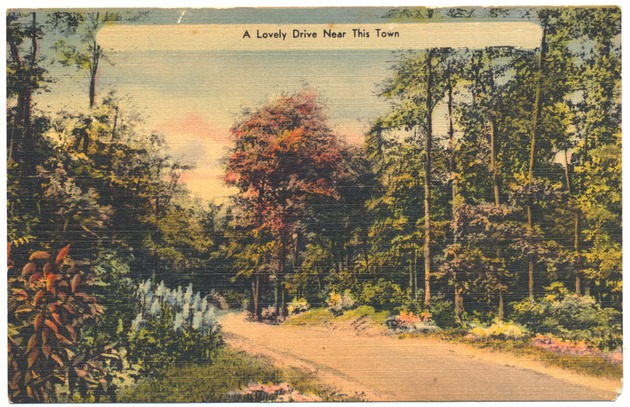 Postcard showing path crossing a forest - Recto