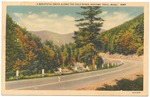 [1950] A Beautiful Drive along the Cold River, Mohawk Trail, Mass.