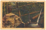[1950] An 80-Gallon Moonshine Still in the heart of the Mountains