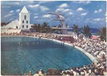 [1950] Macfadden-Deauville hotel pool and diving board
