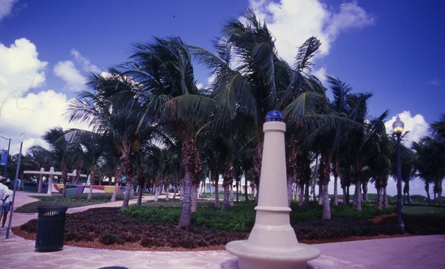North Beach palms and structures - 