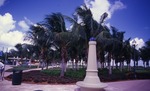 View of palms and structures in North Beach