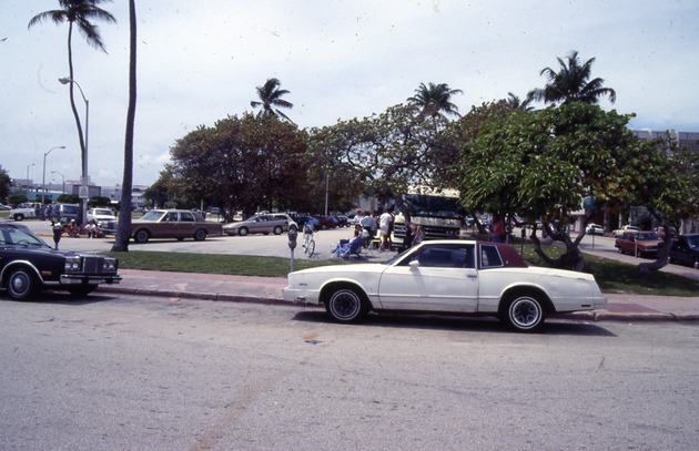 Construction scenes, streets and medians on Miami Beach - Image 1
