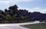 [1986/1994] Mount Sinai Medical Center & Miami Heart Institute