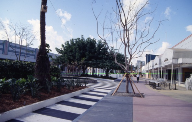 Construction and rennovations on Lincoln Road - Image 1