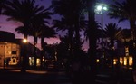 Lincoln Road in the evening