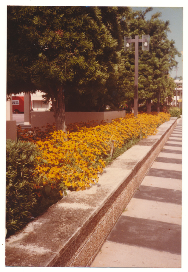 View of flower garden - 