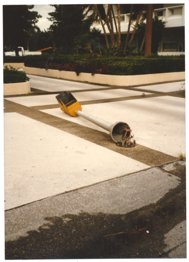 Fallen pedestrian light - 