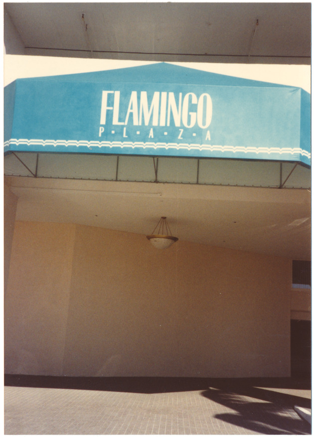 Flamingo Plaza building - 