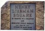 Henry Liebman Square