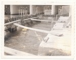 [1960] Boathouse construction