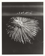 [1970/1989] Fireworks