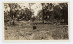 Area where charcoal kiln stood, Sugarloaf Key