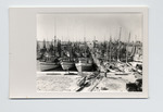 Shrimp boats