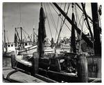[1950/1959] Shrimp boats in Key West