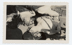 MISSING THUMBNAIL