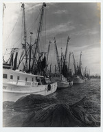 Shrimp Boats in Key West Bight