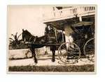 A horse and carriage at the convent