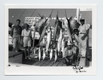 Fishing boat Dream Girl