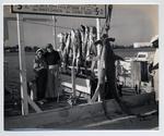 Capt. Shirley Garson's fishing catch