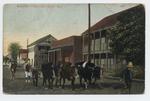 [1907/1915] Walking Dairy, Key West