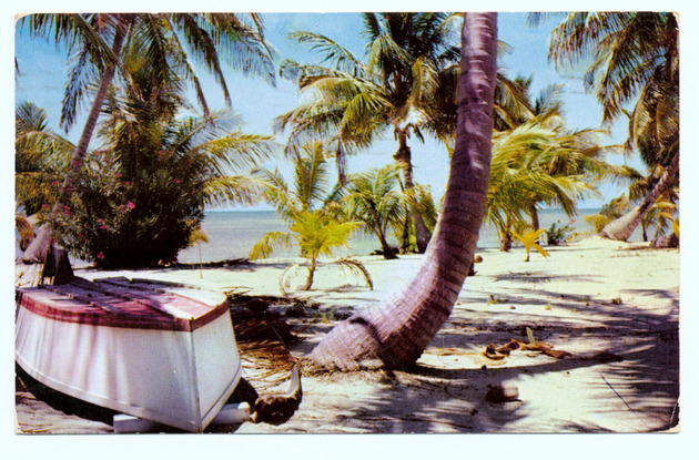 Islamorada beach scene - front