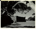 [1960] The Castillo de San Marcos from beneath the shade of a cedar tree, looking West, 1960