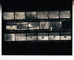 [Negatives showing the features, profile views, and crew of the excavation at the De Mesa Sanchez House]