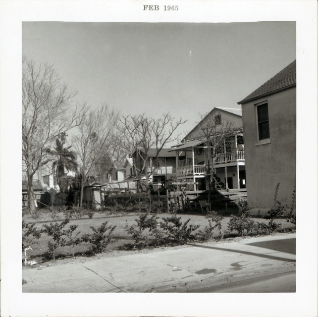 [Houses along the back of Pan American Building lot before construction (currenty Tocques parking lot), from Hypolita Street, looking Northeast, 1965] - 