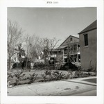 [Houses along the back of Pan American Building lot before construction (currenty Tocques parking lot), from Hypolita Street, looking Northeast, 1965]