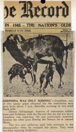 Josephina Was Only 'Kidding'<br />( 10 issues )