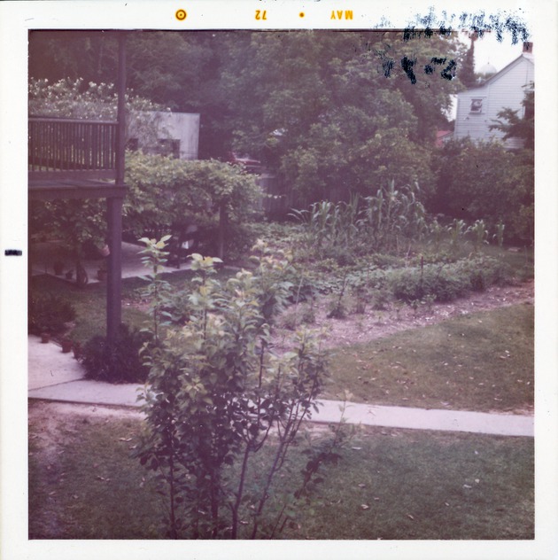Rear yard of Arrivas House showing the garden, arbor, and Northwest corner of the loggia and balcony, looking Southwest, 1972
