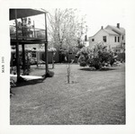 Rear yard of the Arrivas House with arbor, prior to the planting of the garden, looking Southwest, 1965