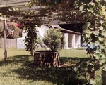 Grape arbor and well behind the Arrivas House with the Salcedo Kitchen in the background, looking North