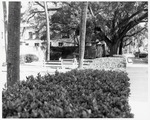 [1971] Southwest corner of Government House as seen from the sidewalk along King Street, looking East, ca. 1971