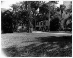 Garden lot to the West of Government House, looking Southeast, 1971