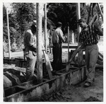 [1962] Pouring Tabby into wood forms to build the walls of the Gallegos House looking Northeast, 1962