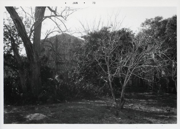 The rear yard of the Peso de Burgo property (prior to the construction of the Peso de Burgo House) looking West, 1973