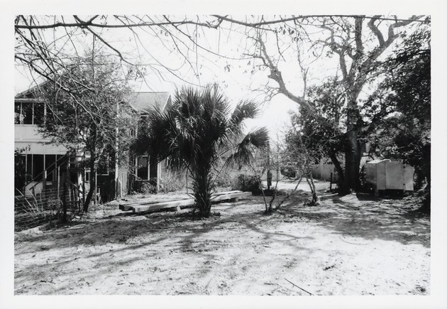 In the rear yard of the Peso de Burgo property, looking South along the eastern edge of the property line, 1973