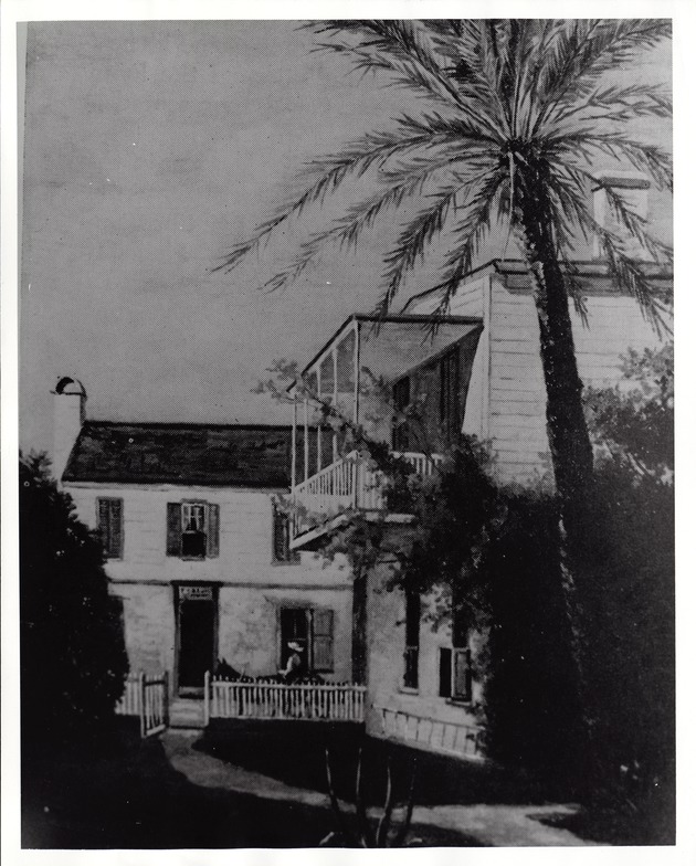 Dr. Peck's House + Palm Trees, Black and White